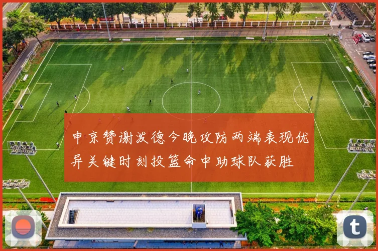 申京赞谢泼德今晚攻防两端表现优异关键时刻投篮命中助球队获胜