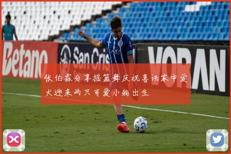 张伯霖分享摇篮舞庆祝喜讯家中爱犬迎来两只可爱小狗出生